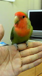 さくぼー♂090713-01.jpg