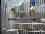 さくぼーとイカ君.jpg