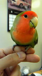 さくぼー♂-100810-04.jpg